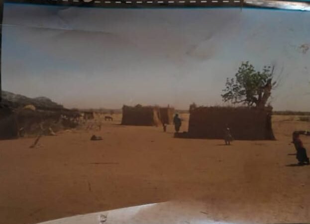 شاهد بالصور : بعض البرامج التي نفذتها منظمة عشم الوطن للتنمية